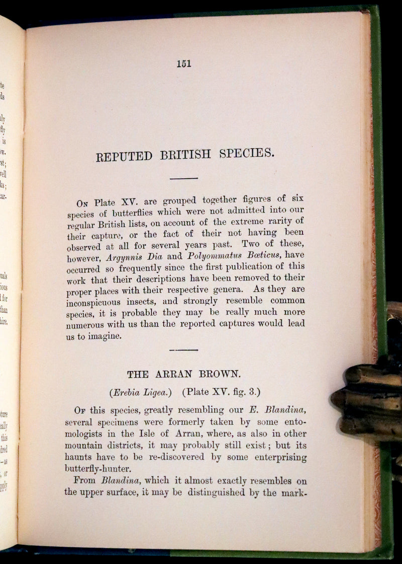 1897 Rare Victorian Book - British Butterflies, Figures and Descriptions of Every Native Species by W. S. Coleman.
