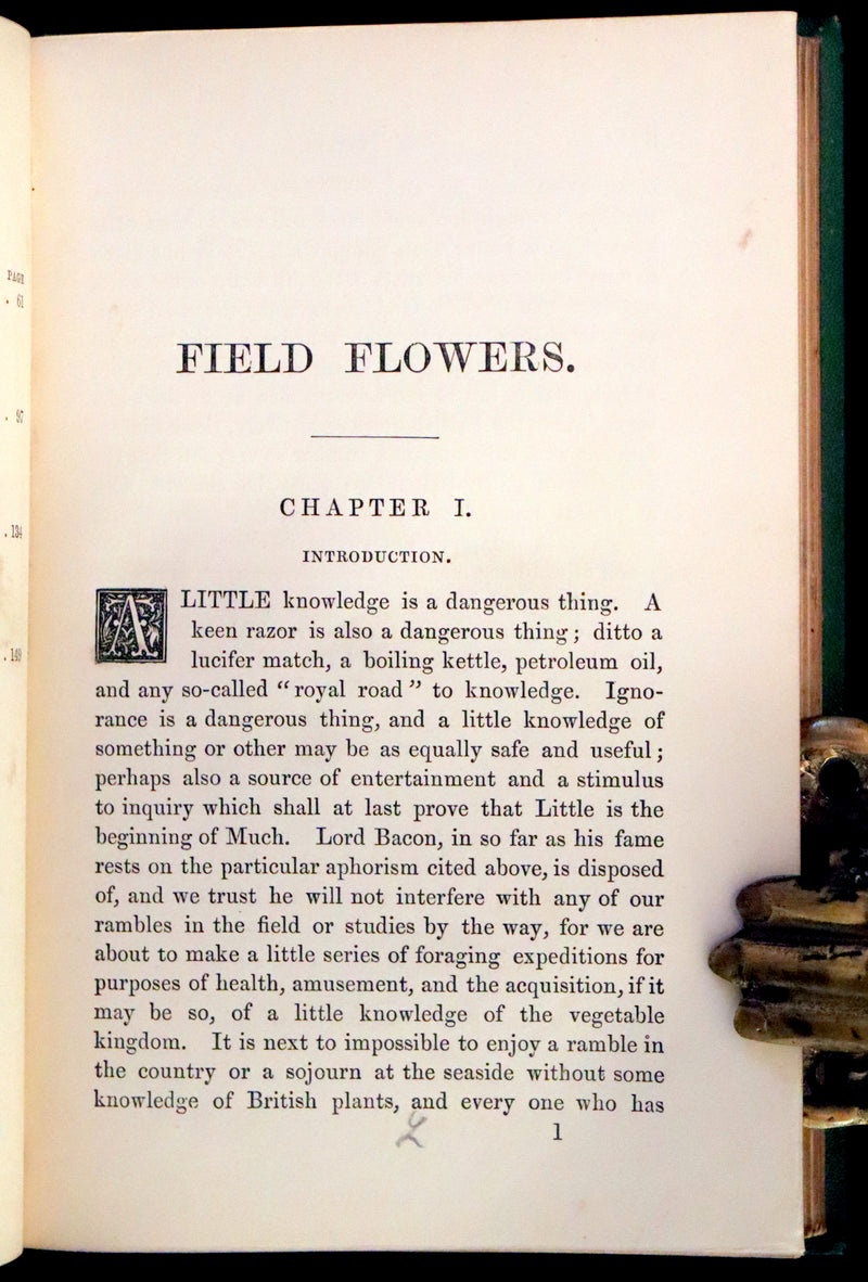 1870 Scarce First Edition - FIELD FLOWERS, A handy-book for the rambling by the botanist James Shirley Hibberd.