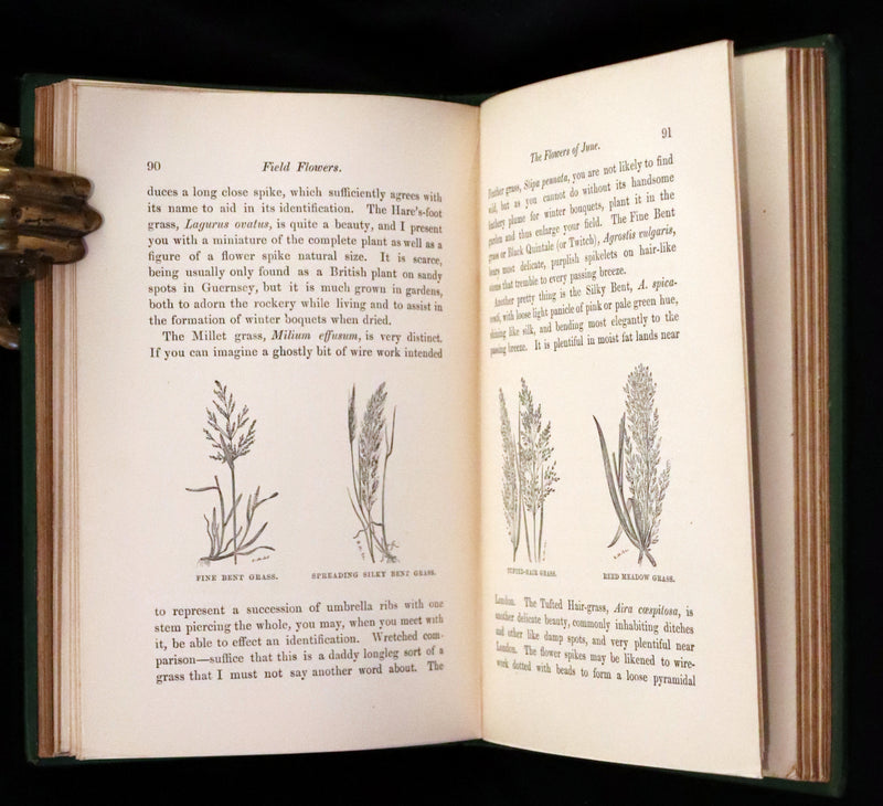 1870 Scarce First Edition - FIELD FLOWERS, A handy-book for the rambling by the botanist James Shirley Hibberd.