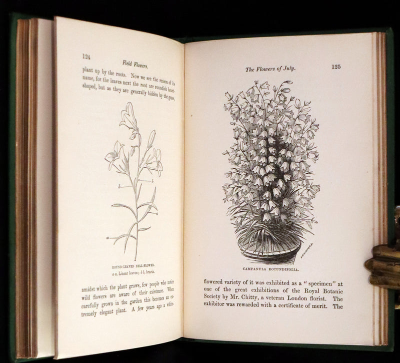 1870 Scarce First Edition - FIELD FLOWERS, A handy-book for the rambling by the botanist James Shirley Hibberd.