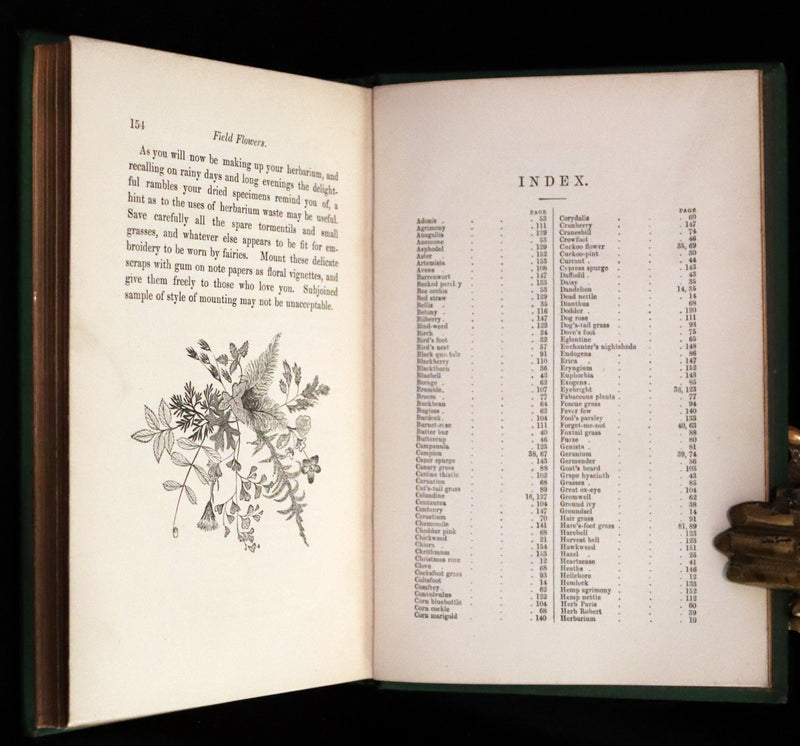 1870 Scarce First Edition - FIELD FLOWERS, A handy-book for the rambling by the botanist James Shirley Hibberd.