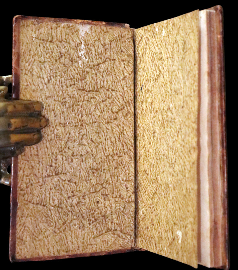 1659 Rare Latin Book - Aulus Persius Flaccus' Satires - Stoic Wisdom & Societal Insight.