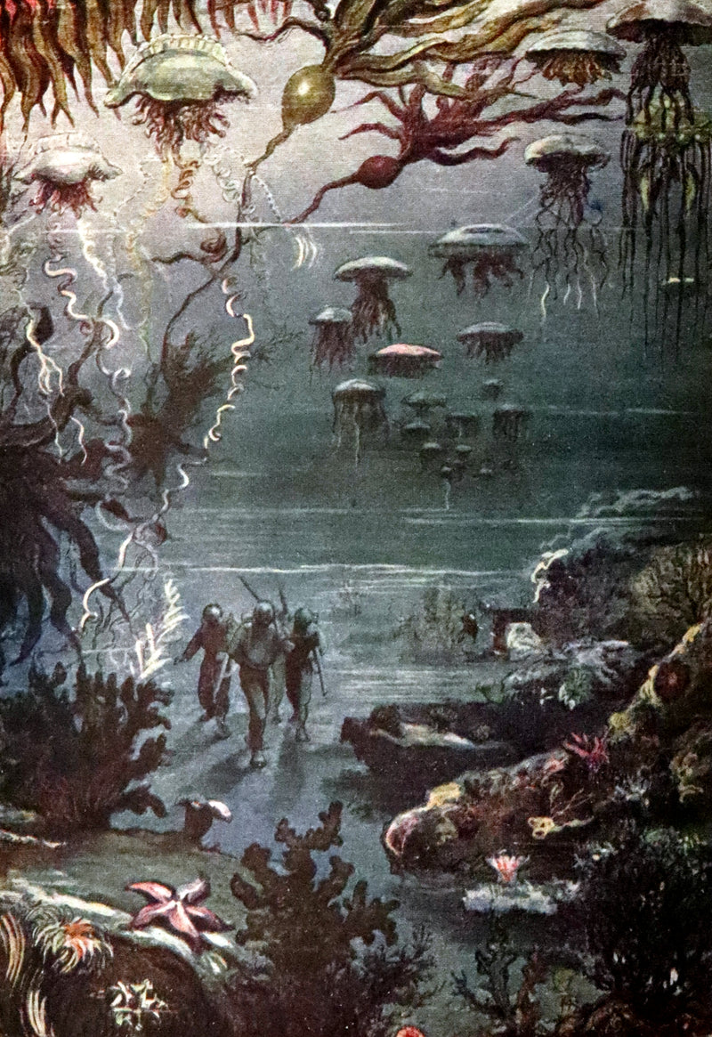 1900 Rare Book - Twenty Thousand Leagues Under the Sea by Jules Verne.