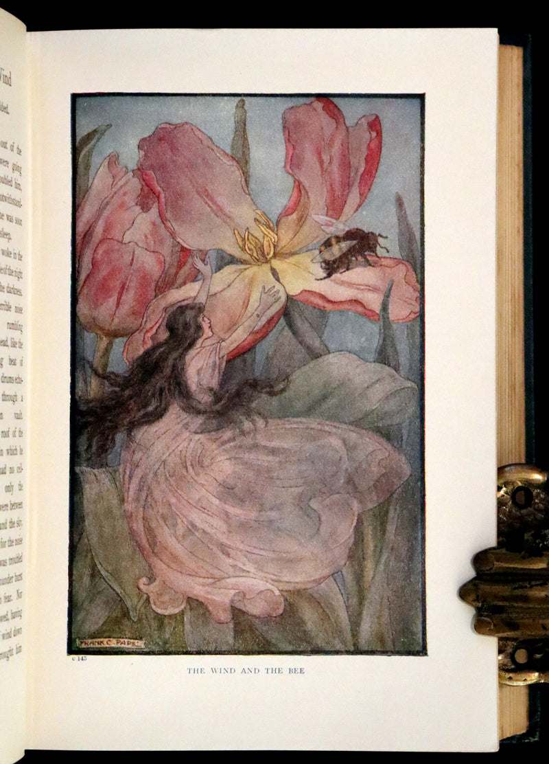 1911 Rare Book - At the Back of the North Wind Illustrated by Frank C. Pape.