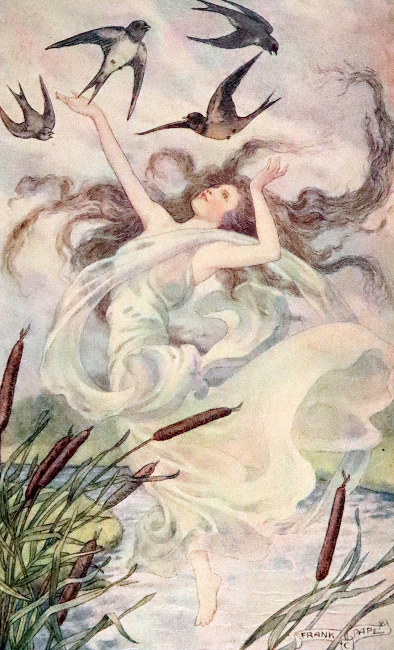 1911 Rare Book - At the Back of the North Wind Illustrated by Frank C. Pape.