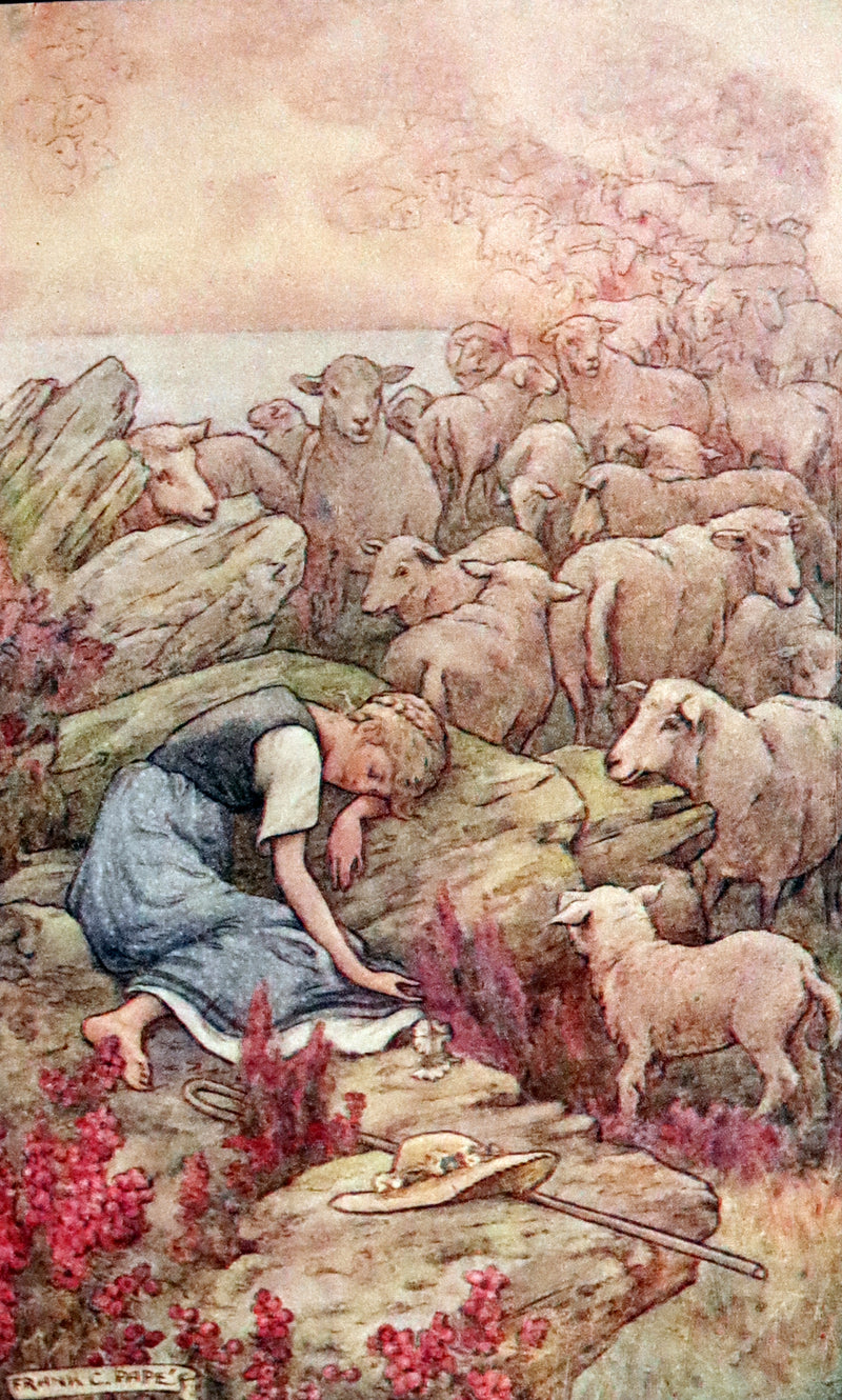 1911 Rare Book - At the Back of the North Wind Illustrated by Frank C. Pape.