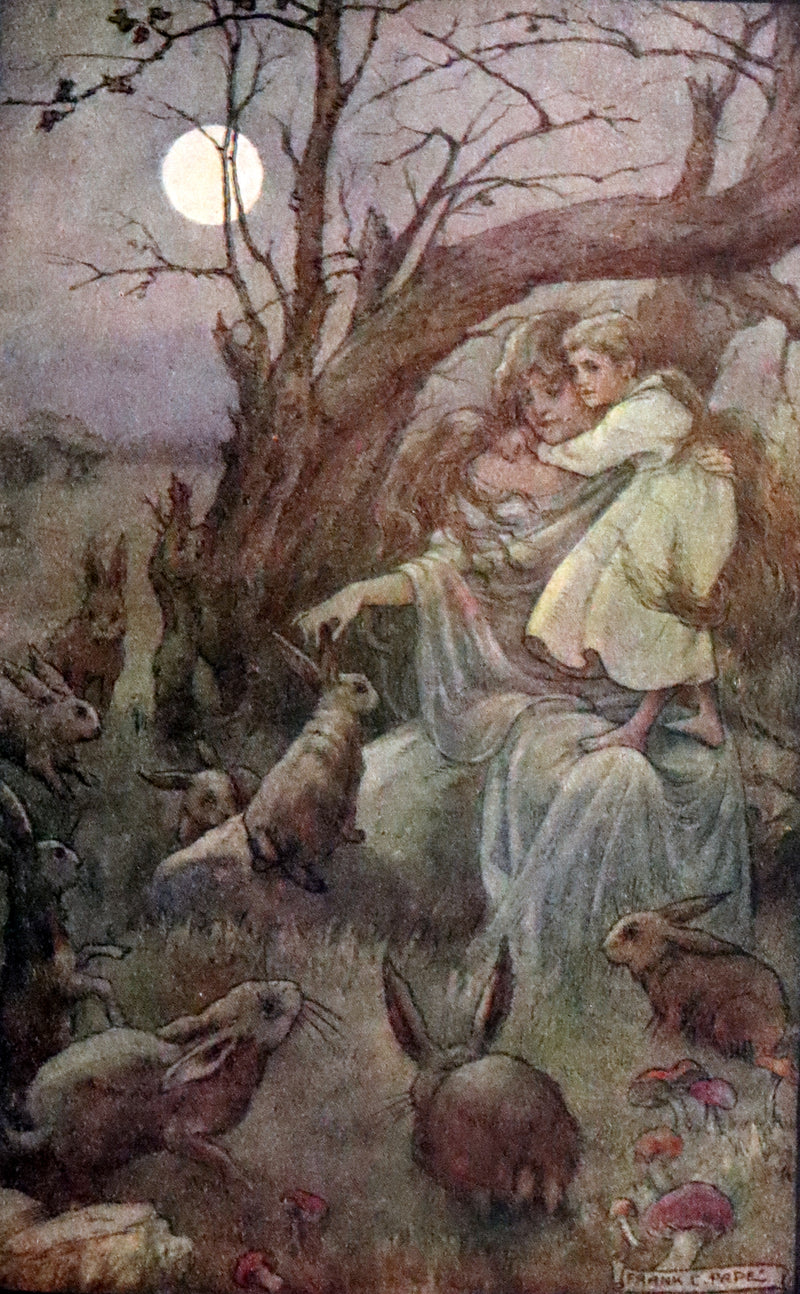 1911 Rare Book - At the Back of the North Wind Illustrated by Frank C. Pape.