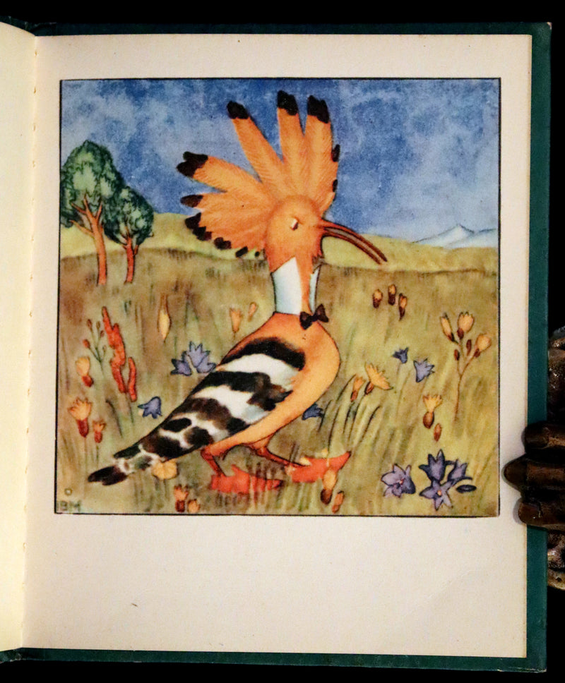 1942 Scarce First US Edition - The Bird's Book illustrated by Ida Bohatta Morpurgo.
