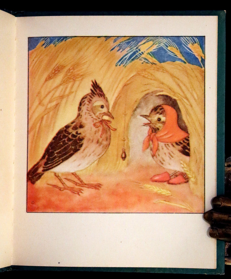 1942 Scarce First US Edition - The Bird's Book illustrated by Ida Bohatta Morpurgo.