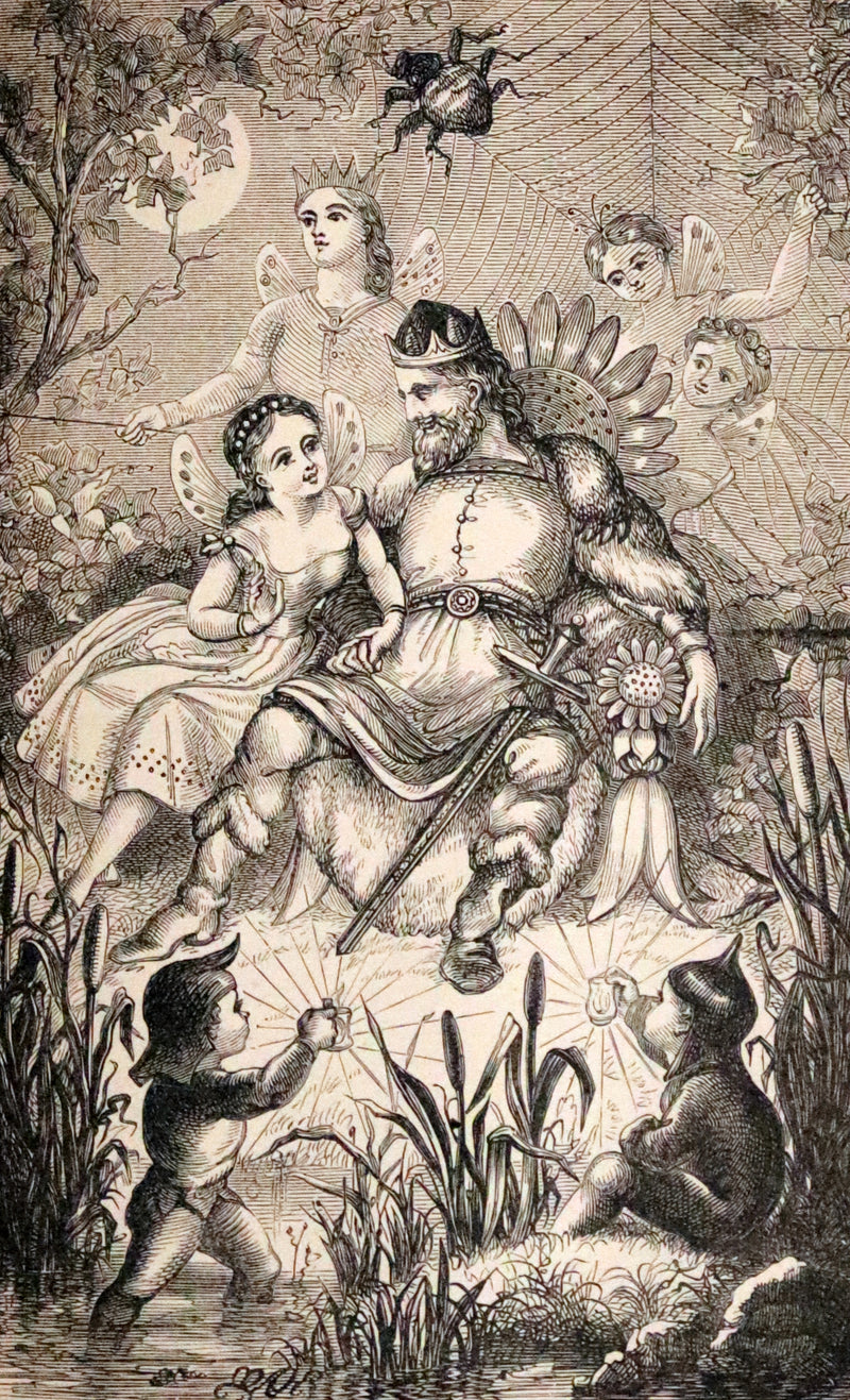 1885 Rare Victorian Book - Hans Christian Andersen's Fairy Tales with original illustrations.