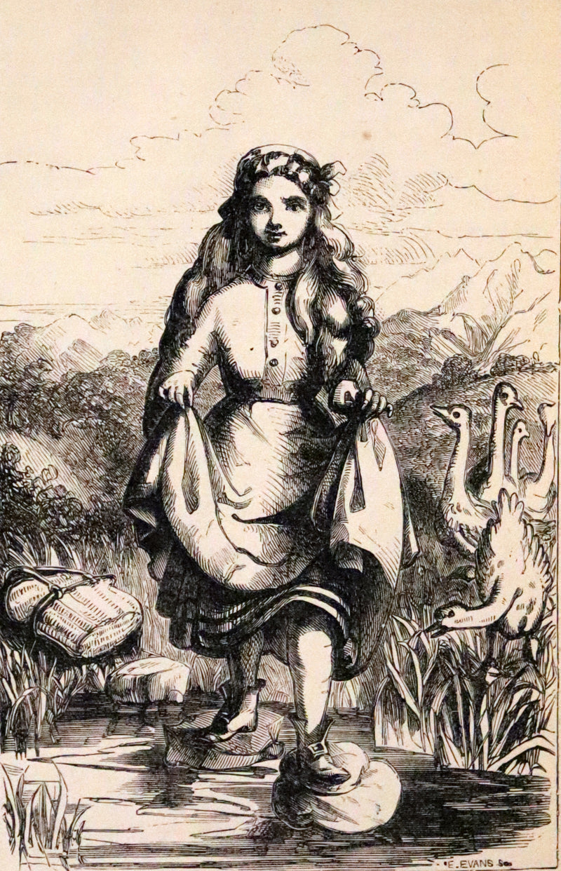 1885 Rare Victorian Book - Hans Christian Andersen's Fairy Tales with original illustrations.