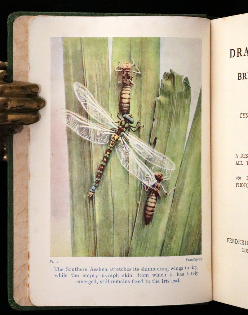 1937 Rare First Edition - The Dragonflies of the British Isles by Madame Dragonfly, Cynthia Longfield.