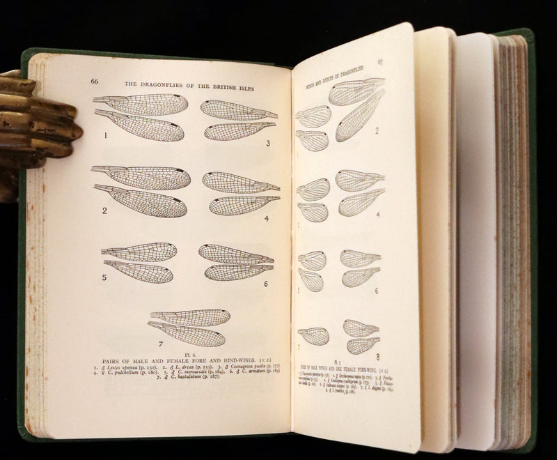 1937 Rare First Edition - The Dragonflies of the British Isles by Madame Dragonfly, Cynthia Longfield.
