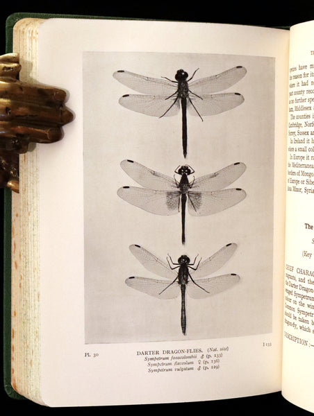 1937 Rare First Edition - The Dragonflies of the British Isles by Madame Dragonfly, Cynthia Longfield.
