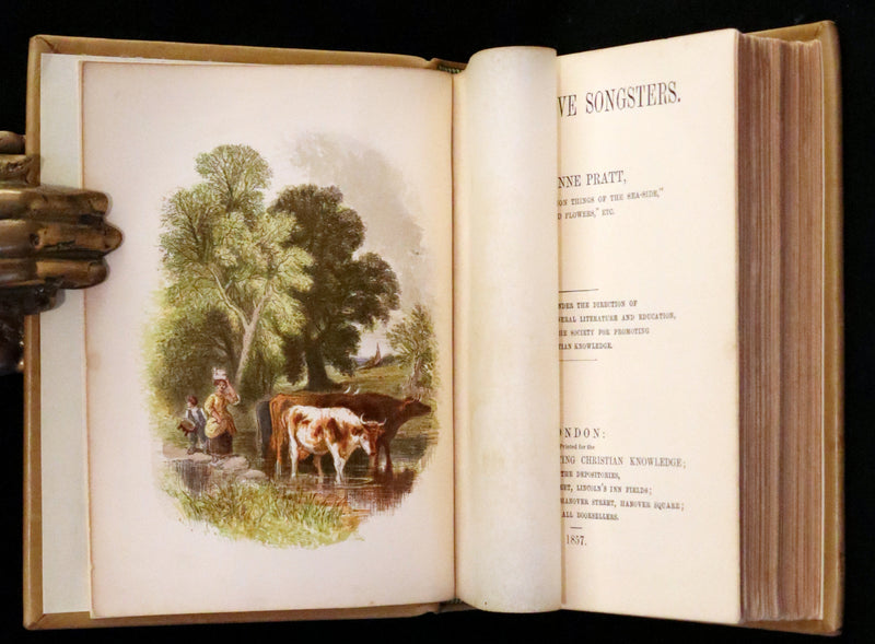 1857 Scarce Ornithology Book ~ Our Native Songsters with 72 colored plates by Anne Pratt.