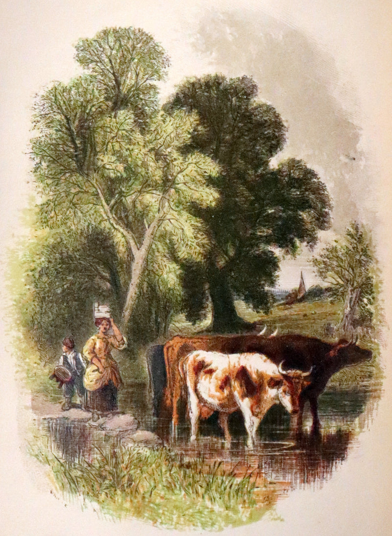 1857 Scarce Ornithology Book ~ Our Native Songsters with 72 colored plates by Anne Pratt.