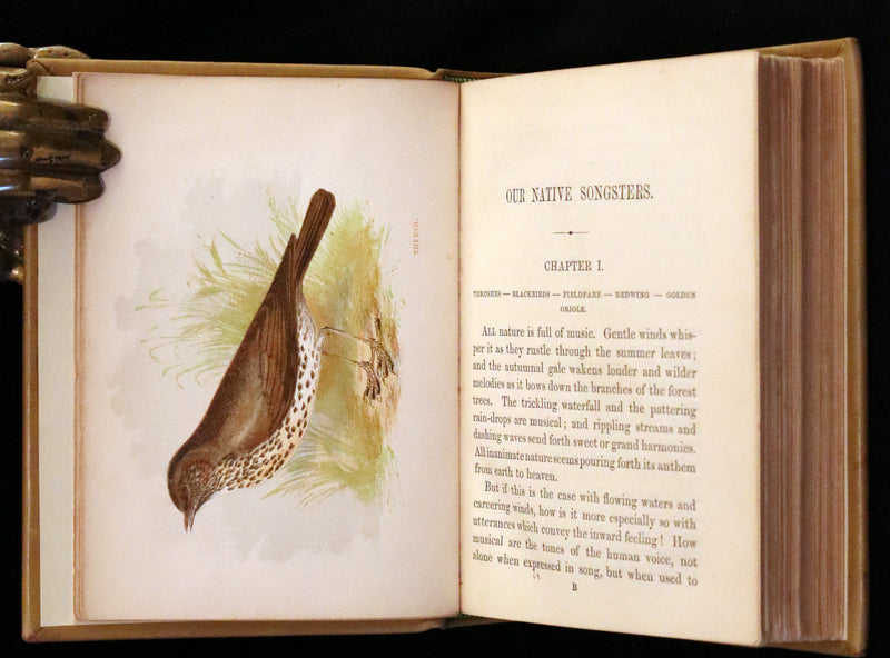 1857 Scarce Ornithology Book ~ Our Native Songsters with 72 colored plates by Anne Pratt.