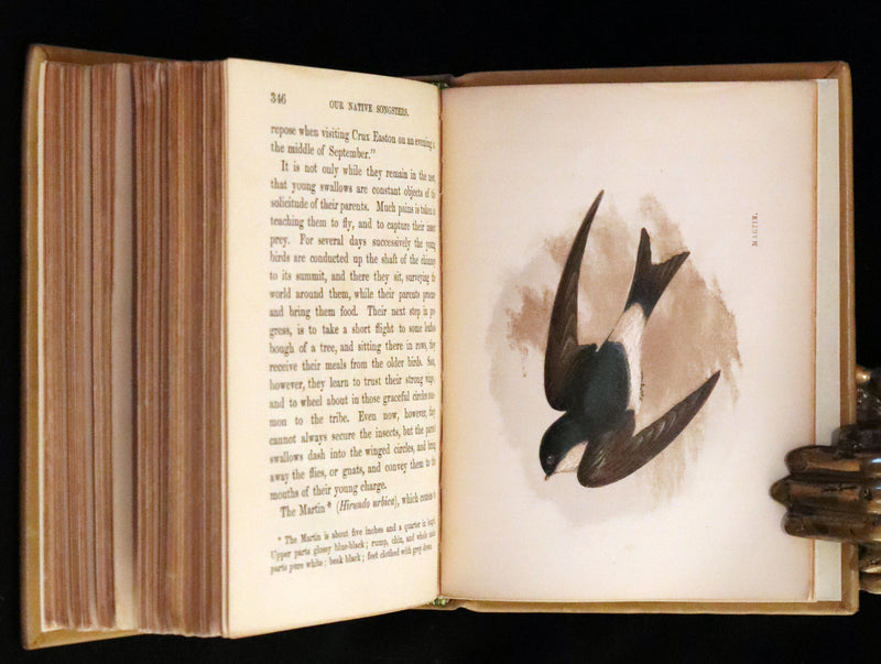 1857 Scarce Ornithology Book ~ Our Native Songsters with 72 colored plates by Anne Pratt.