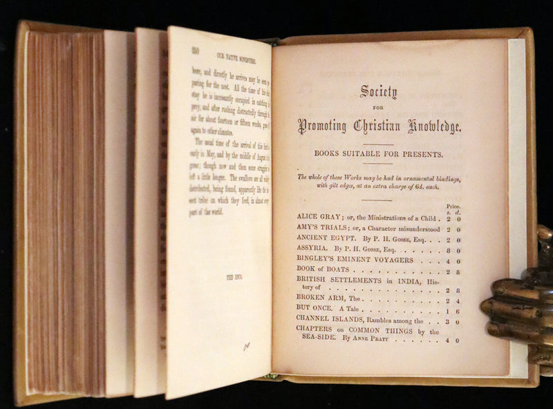 1857 Scarce Ornithology Book ~ Our Native Songsters with 72 colored plates by Anne Pratt.
