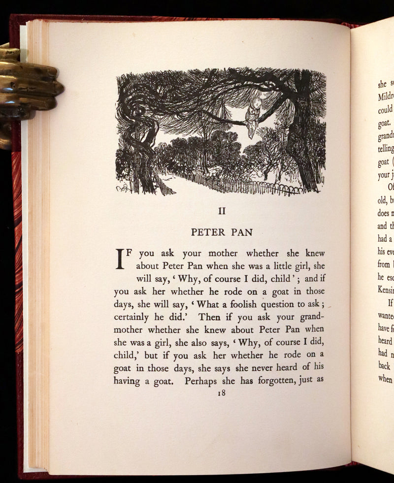 1951 Rare Book - Peter Pan in Kensington Gardens illustrated by Arthur Rackham.