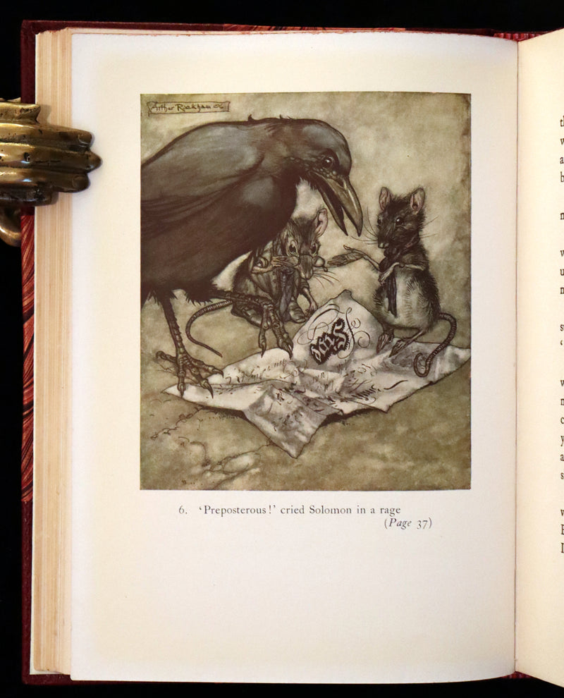 1951 Rare Book - Peter Pan in Kensington Gardens illustrated by Arthur Rackham.