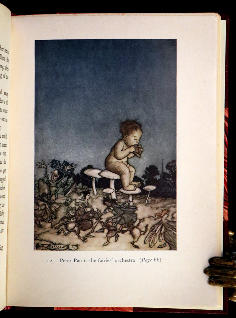 1951 Rare Book - Peter Pan in Kensington Gardens illustrated by Arthur Rackham.