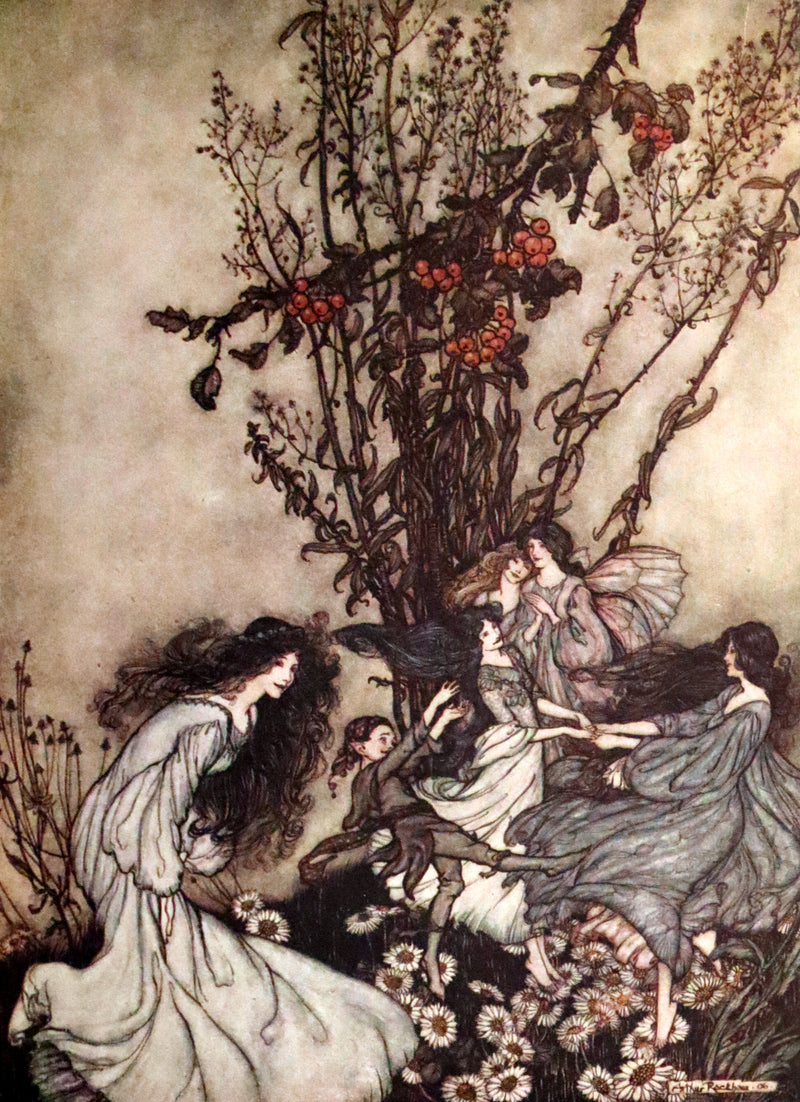 1951 Rare Book - Peter Pan in Kensington Gardens illustrated by Arthur Rackham.