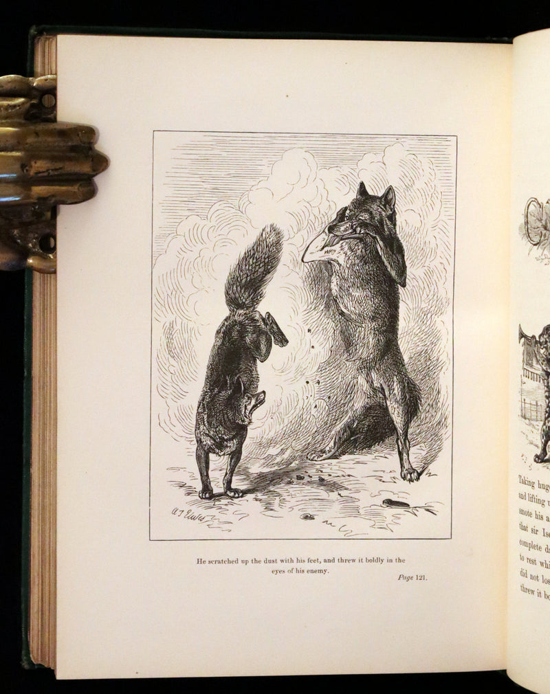 1872 Rare First Edition - Reynard The Fox, An Old Medieval Story Translated by Thomas Roscoe. Illustrated by Elwes and Jellicoe.