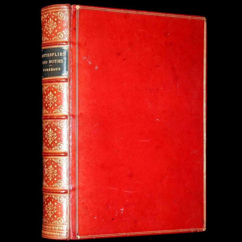 1894 Rare First Edition - Butterflies and Moths (British) by William Samuel Furneaux. Color illustrated.