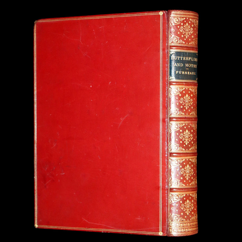 1894 Rare First Edition - Butterflies and Moths (British) by William Samuel Furneaux. Color illustrated.