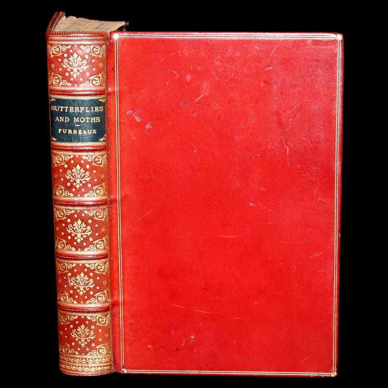 1894 Rare First Edition - Butterflies and Moths (British) by William Samuel Furneaux. Color illustrated.