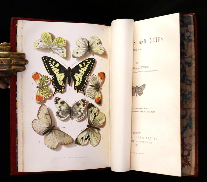 1894 Rare First Edition - Butterflies and Moths (British) by William Samuel Furneaux. Color illustrated.