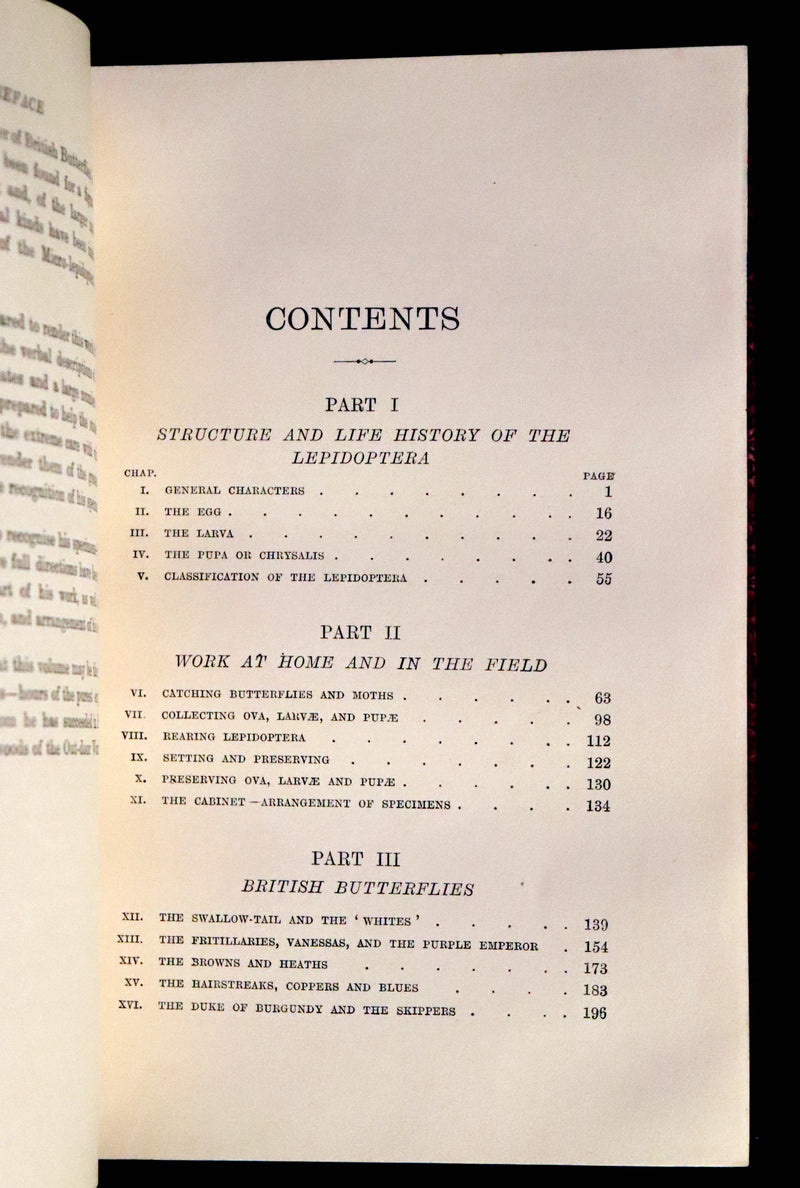 1894 Rare First Edition - Butterflies and Moths (British) by William Samuel Furneaux. Color illustrated.