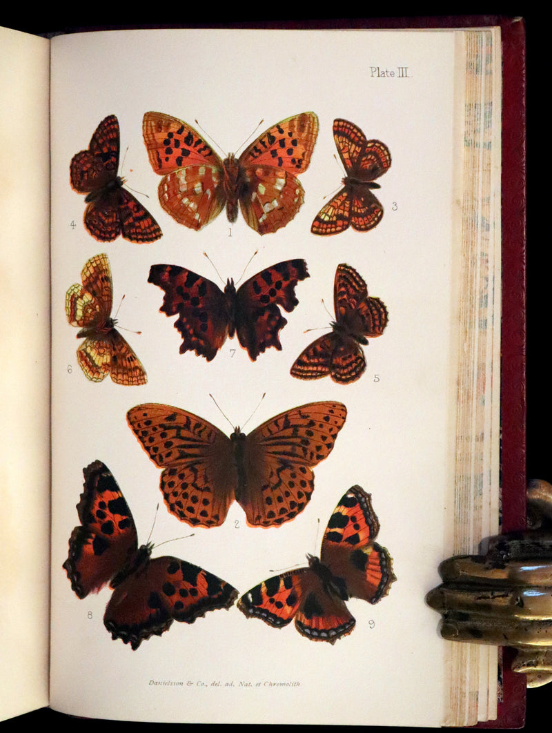 1894 Rare First Edition - Butterflies and Moths (British) by William Samuel Furneaux. Color illustrated.