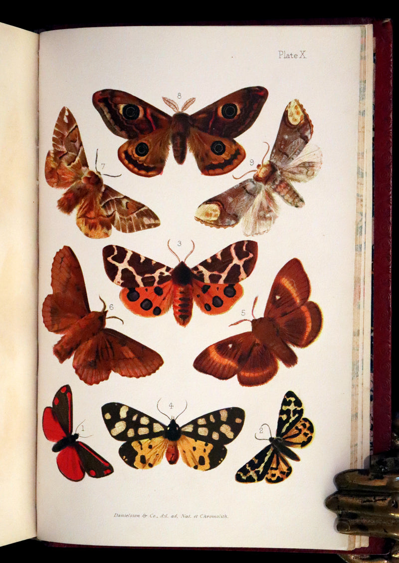 1894 Rare First Edition - Butterflies and Moths (British) by William Samuel Furneaux. Color illustrated.
