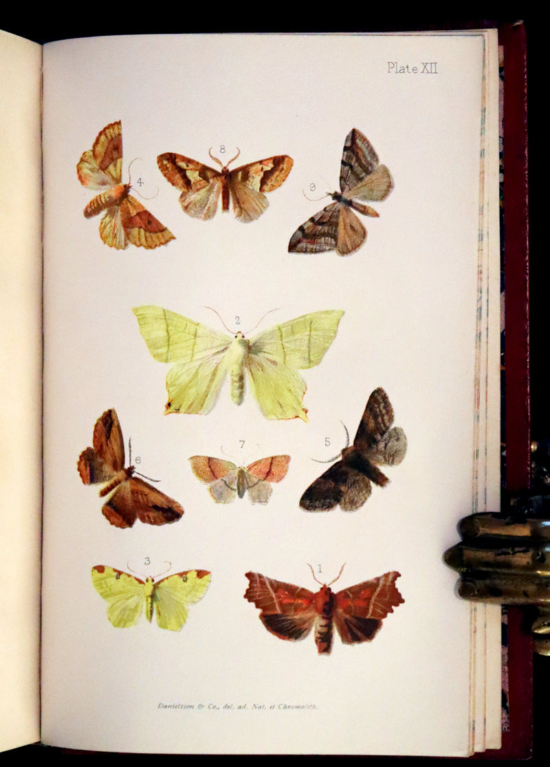 1894 Rare First Edition - Butterflies and Moths (British) by William Samuel Furneaux. Color illustrated.