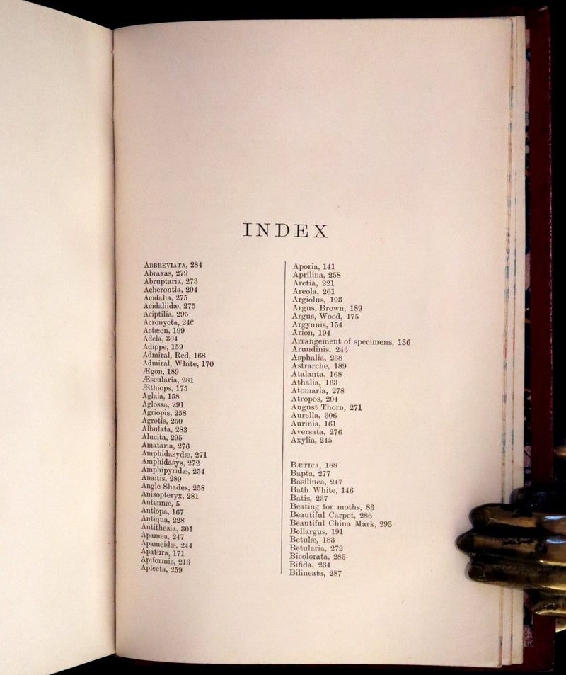 1894 Rare First Edition - Butterflies and Moths (British) by William Samuel Furneaux. Color illustrated.