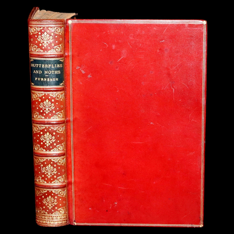 1894 Rare First Edition - Butterflies and Moths (British) by William Samuel Furneaux. Color illustrated.