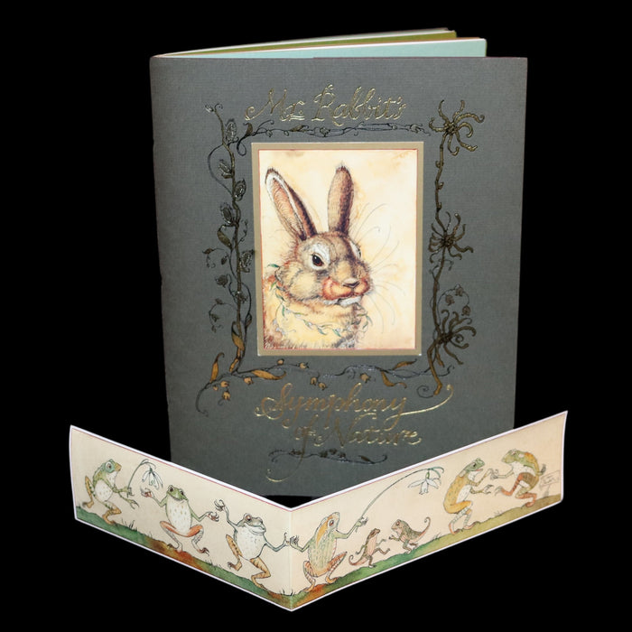 2008 Rare First Edition - Mr. Rabbit's Symphony of Nature by Charles van Sandwyk. With “frolicking frogs” bookmark.