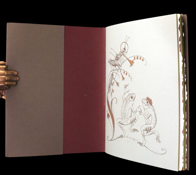 2008 Rare First Edition - Mr. Rabbit's Symphony of Nature by Charles van Sandwyk. With “frolicking frogs” bookmark.