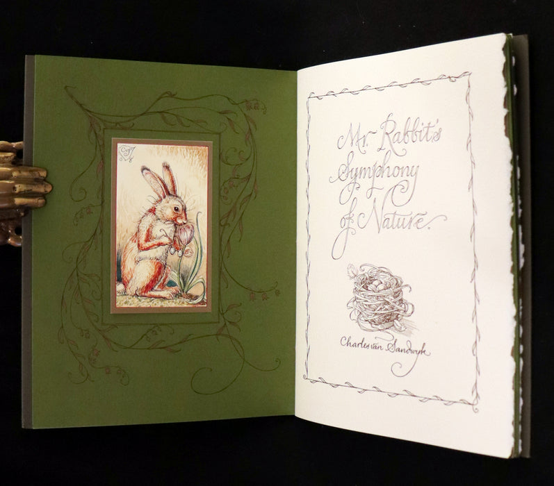 2008 Rare First Edition - Mr. Rabbit's Symphony of Nature by Charles van Sandwyk. With “frolicking frogs” bookmark.