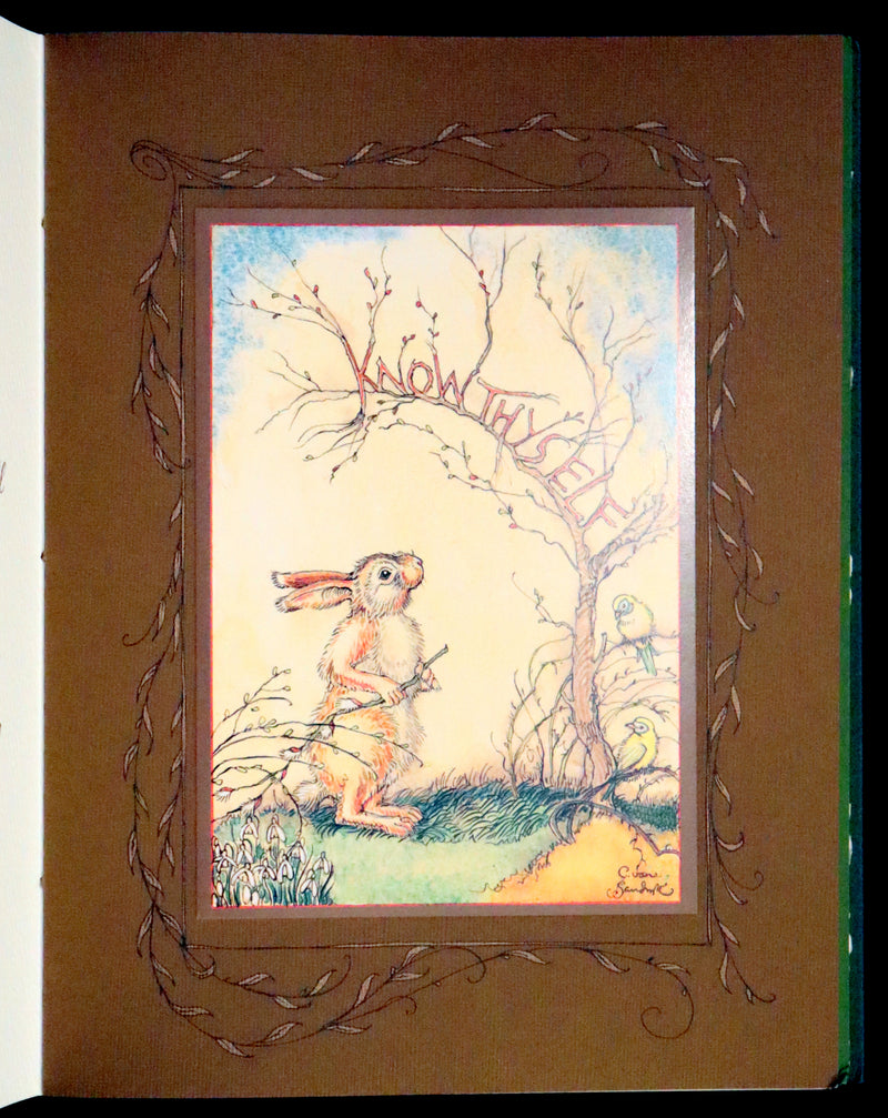 2008 Rare First Edition - Mr. Rabbit's Symphony of Nature by Charles van Sandwyk. With “frolicking frogs” bookmark.