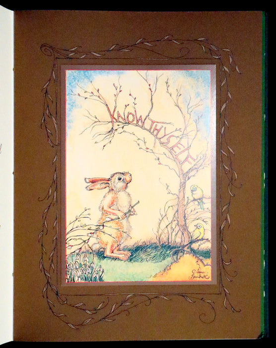 2008 Rare First Edition - Mr. Rabbit's Symphony of Nature by Charles van Sandwyk. With “frolicking frogs” bookmark.