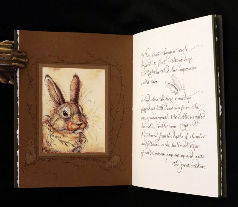 2008 Rare First Edition - Mr. Rabbit's Symphony of Nature by Charles van Sandwyk. With “frolicking frogs” bookmark.