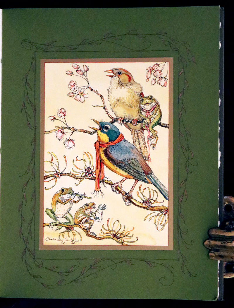 2008 Rare First Edition - Mr. Rabbit's Symphony of Nature by Charles van Sandwyk. With “frolicking frogs” bookmark.