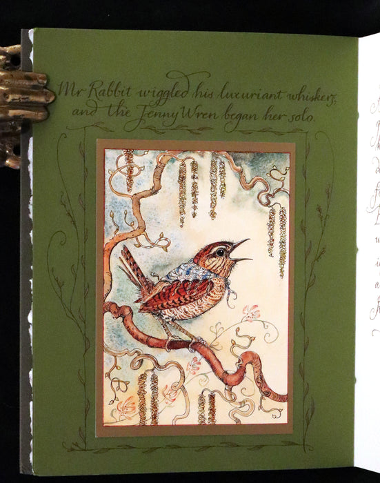 2008 Rare First Edition - Mr. Rabbit's Symphony of Nature by Charles van Sandwyk. With “frolicking frogs” bookmark.