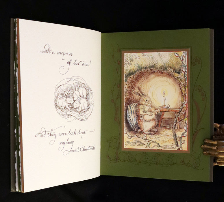 2008 Rare First Edition - Mr. Rabbit's Symphony of Nature by Charles van Sandwyk. With “frolicking frogs” bookmark.