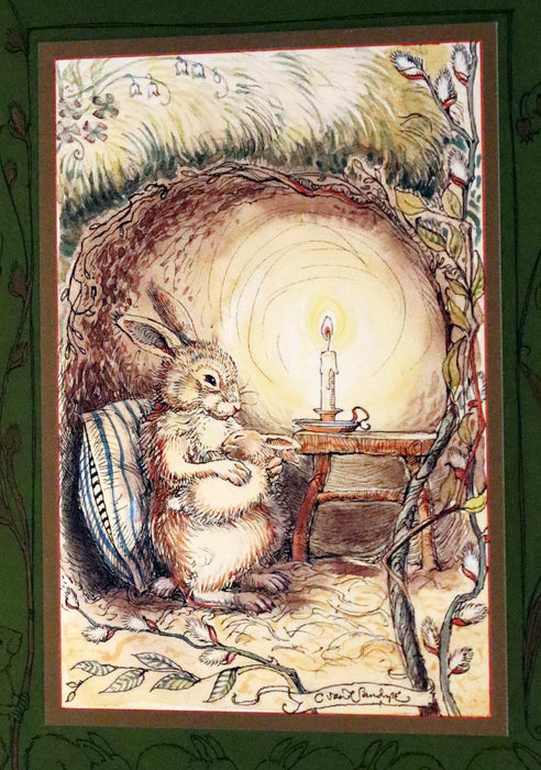 2008 Rare First Edition - Mr. Rabbit's Symphony of Nature by Charles van Sandwyk. With “frolicking frogs” bookmark.