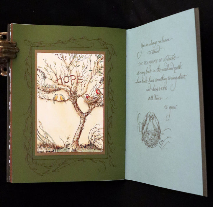 2008 Rare First Edition - Mr. Rabbit's Symphony of Nature by Charles van Sandwyk. With “frolicking frogs” bookmark.