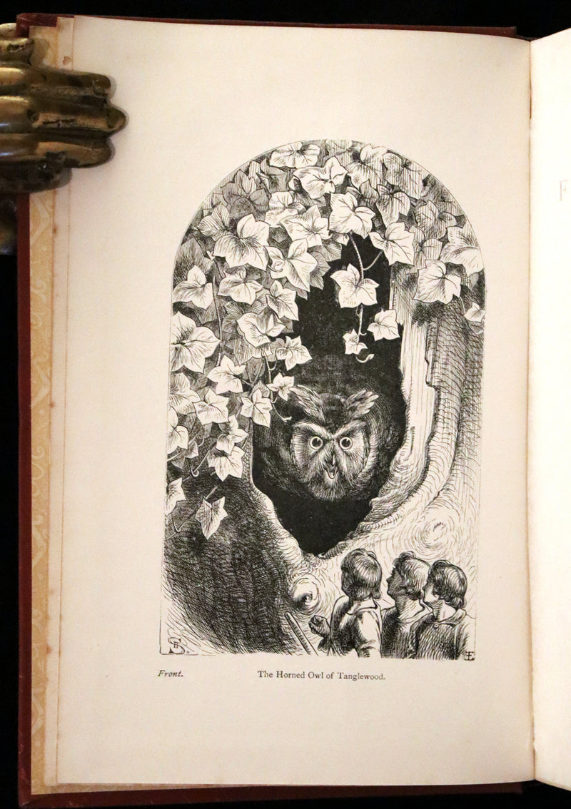 1890 Rare Victorian Book - Holme Lee's Fairy Tales, illustrated.